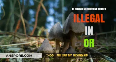 Is Buying Mushroom Spores Illegal in Oregon? Legal Insights