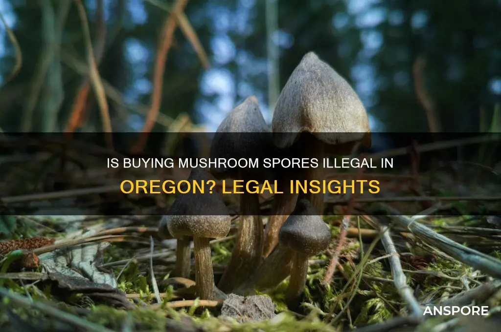 is buying mushroom spores illegal in or