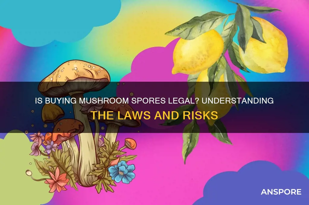 is buying mushroom spores legal