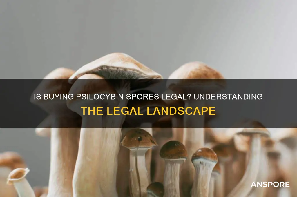 is buying psilocybin spores legal