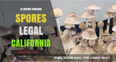 Is Buying Shroom Spores Legal in California? A Comprehensive Guide