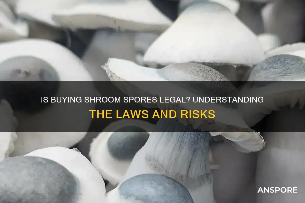 is buying shroom spores legal