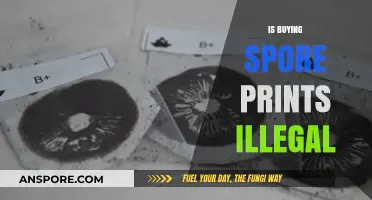 Are Spore Prints Legal? Understanding the Laws and Risks