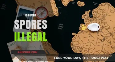 Is Buying Spores Illegal? Understanding the Legalities and Risks