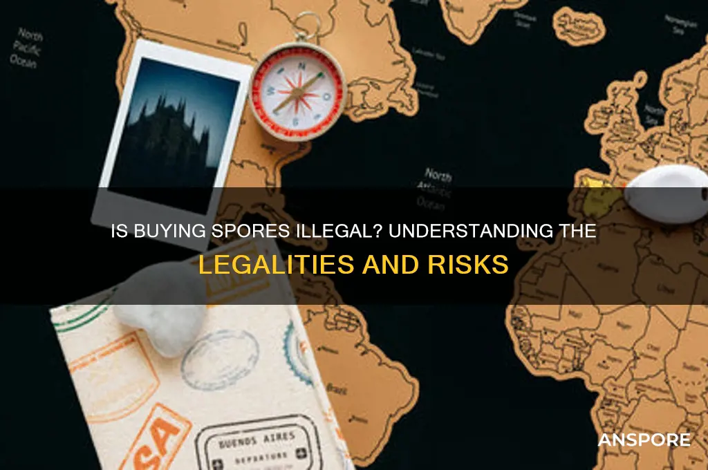 is buying spores illegal