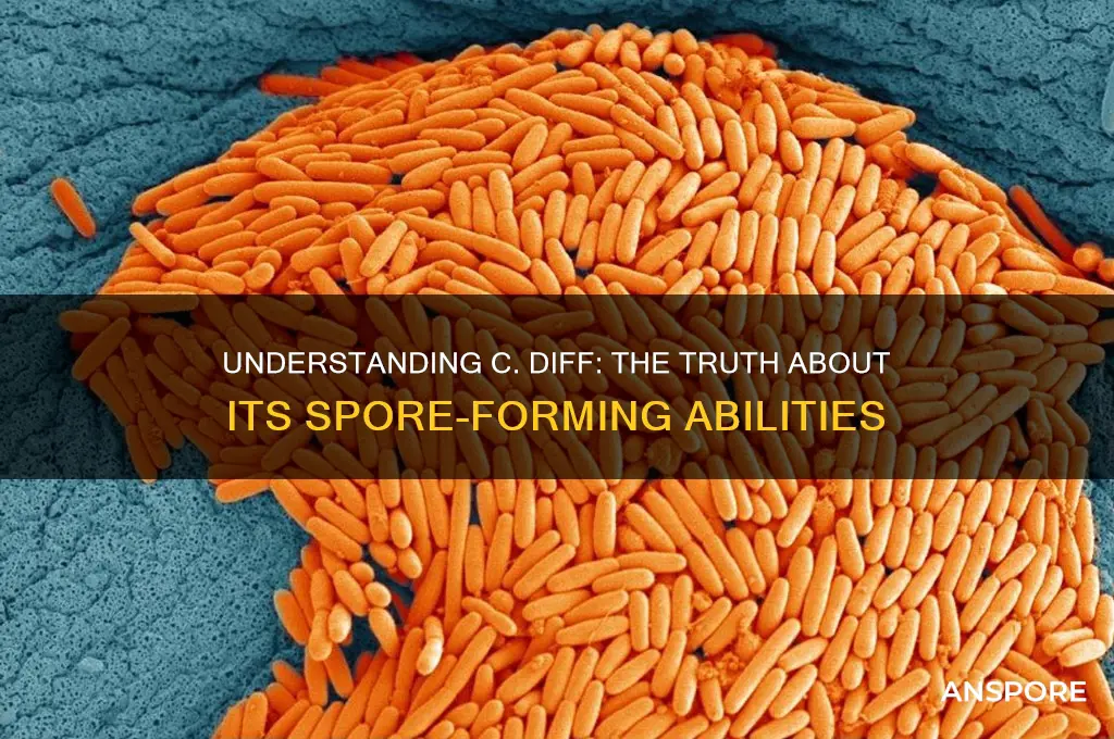 is c diff spore forming