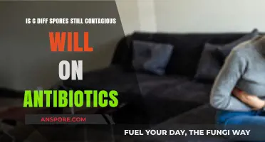 C. Diff Spores: Contagious Risks While on Antibiotics Explained