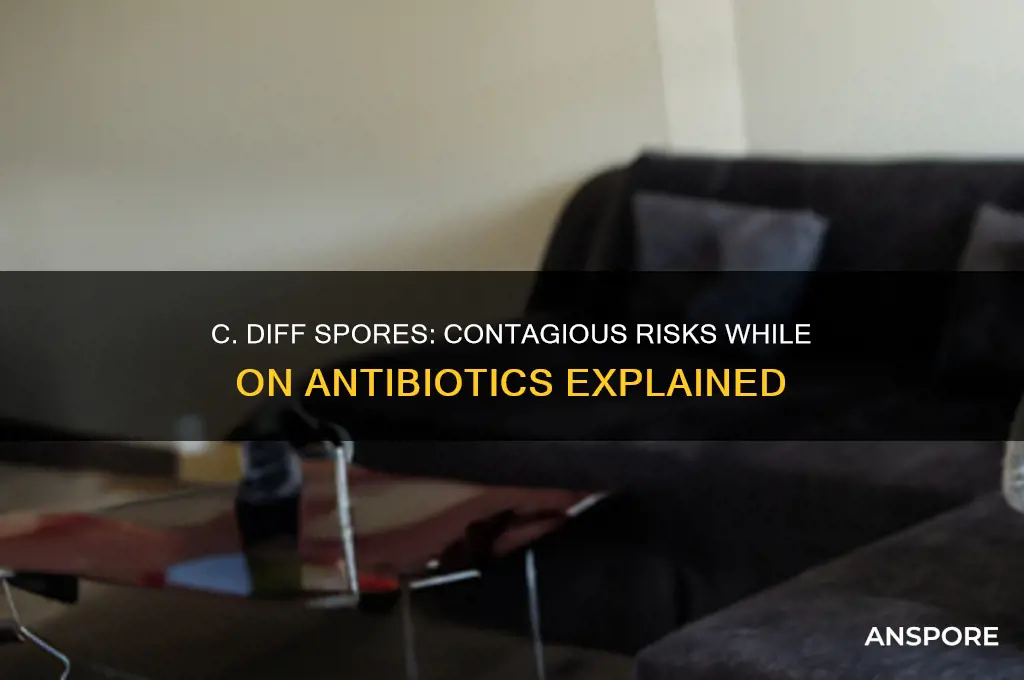 is c diff spores still contagious will on antibiotics