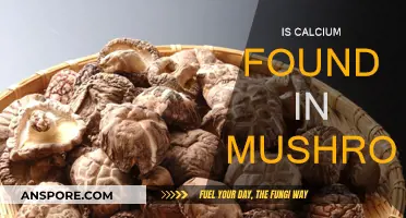 Mushrooms: A Source of Calcium?
