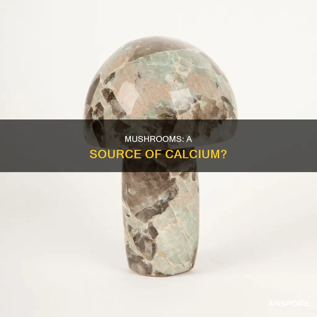 is calcium found in mushrooms