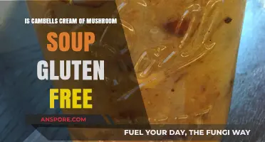 Is Campbell's Cream of Mushroom Soup Gluten-Free? Find Out Here