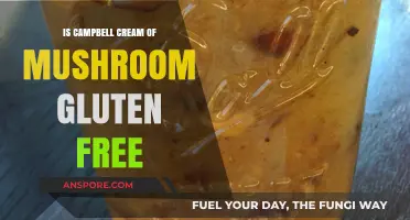 Is Campbell's Cream of Mushroom Soup Gluten-Free? Find Out Now