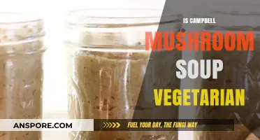 Is Campbell's Mushroom Soup Vegetarian? Ingredients and Dietary Insights