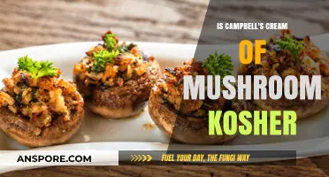 Is Campbell's Cream of Mushroom Soup Kosher? A Detailed Guide