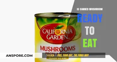 Are Canned Mushrooms Ready to Eat? A Quick Guide