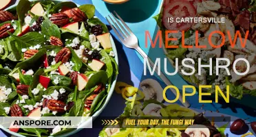 Mellow Mushroom Cartersville: Opening Hours and Location