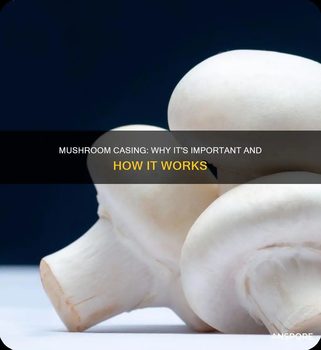 is casing necessary for mushrooms