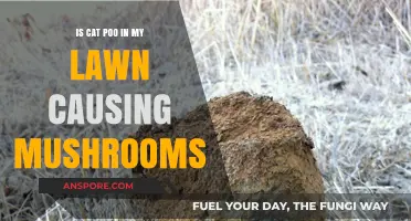 Cat Poop and Lawn Mushrooms: Uncovering the Surprising Connection
