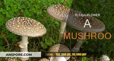 Cauliflower vs. Mushroom: What's the Difference?