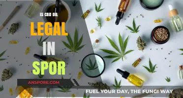 Is CBD Oil Legal in Sports? Regulations and Athlete Guidelines Explained