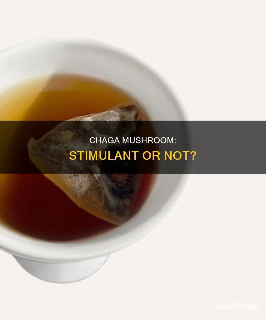 is chaga mushroom a stimulant