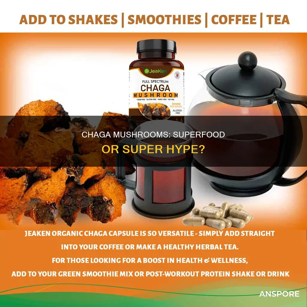 is chaga mushroom a superfood