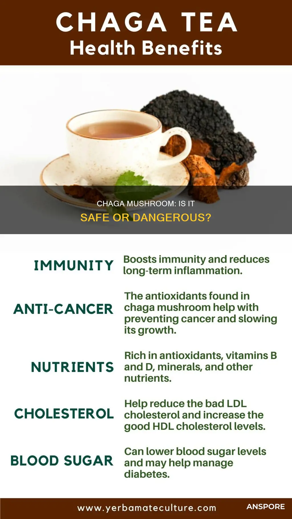 is chaga mushroom dangerous