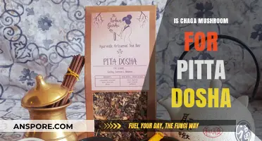 Chaga Mushroom Benefits for Balancing Pitta Dosha: A Guide