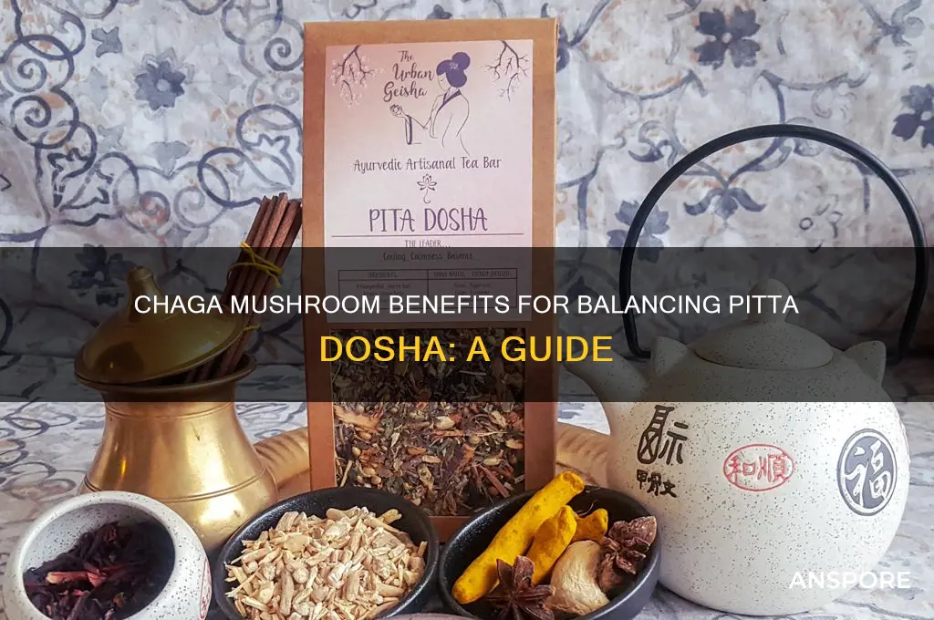 is chaga mushroom for pitta dosha