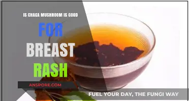 Chaga Mushroom Benefits: Can It Soothe and Heal Breast Rash?