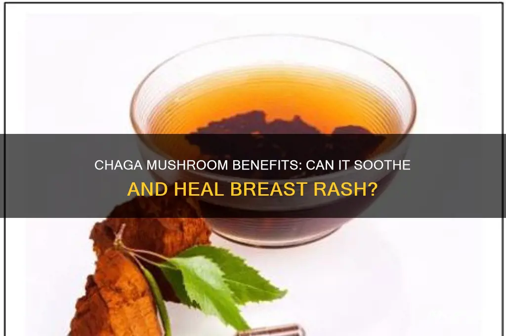 is chaga mushroom is good for breast rash