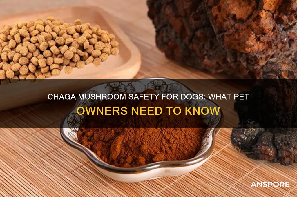 is chaga mushroom safe for dogs