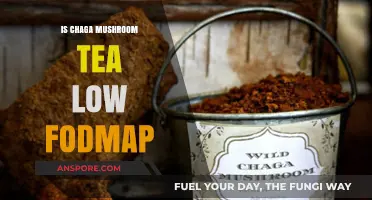 Chaga Mushroom Tea: A Low FODMAP Beverage Option?