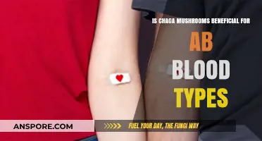 Chaga Mushrooms and AB Blood Type: Unlocking Potential Health Benefits
