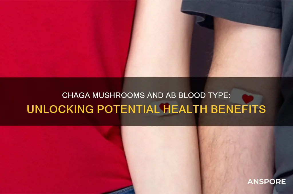 is chaga mushrooms beneficial for ab blood types