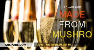 Champagne's Mushroom Mystery: Fact or Fiction?