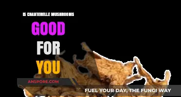 Chanterelle Mushrooms: Nutritional Benefits and Health Advantages Explained