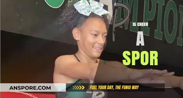Is Cheerleading a Sport? Debunking Myths and Recognizing Athleticism