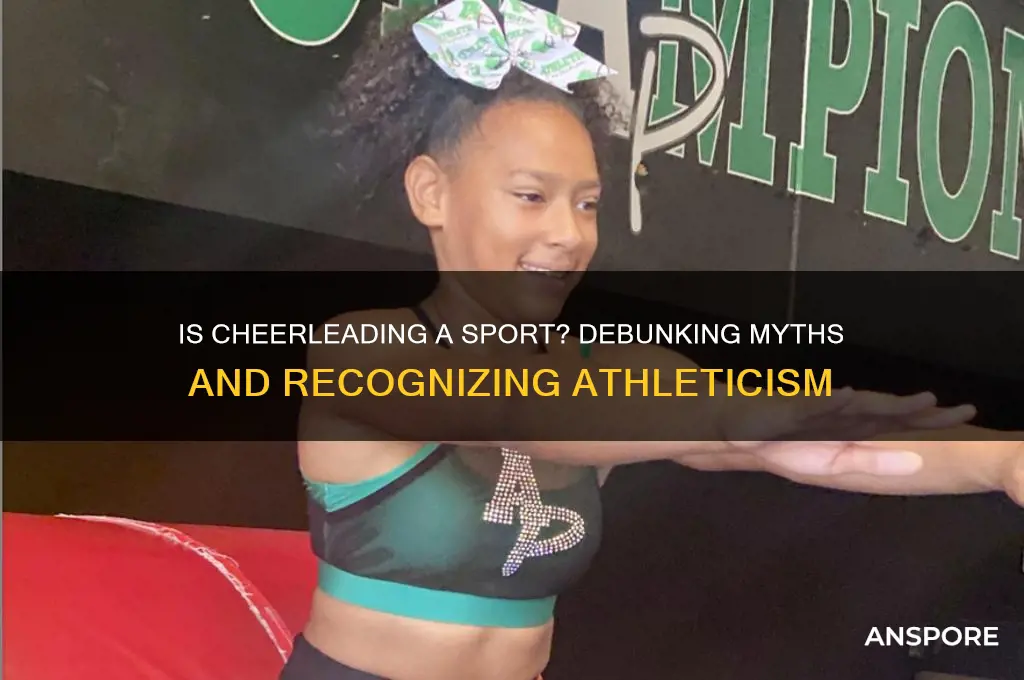 is cheer a spor