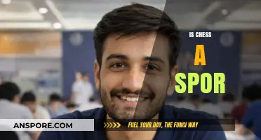 Is Chess a Sport? Debating Physicality, Competition, and Recognition