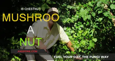 Chestnut Mushrooms: Nutty Taste, Nut-Free