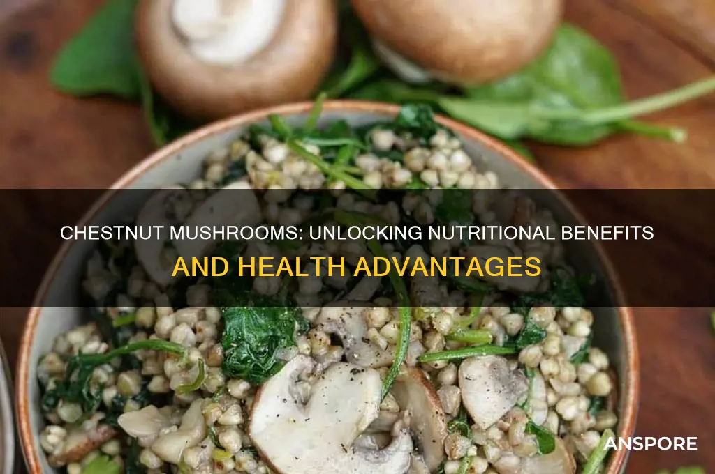 is chestnut mushrooms good for you