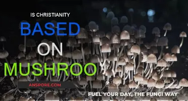 Christianity and Mushrooms: A Spiritual Connection?