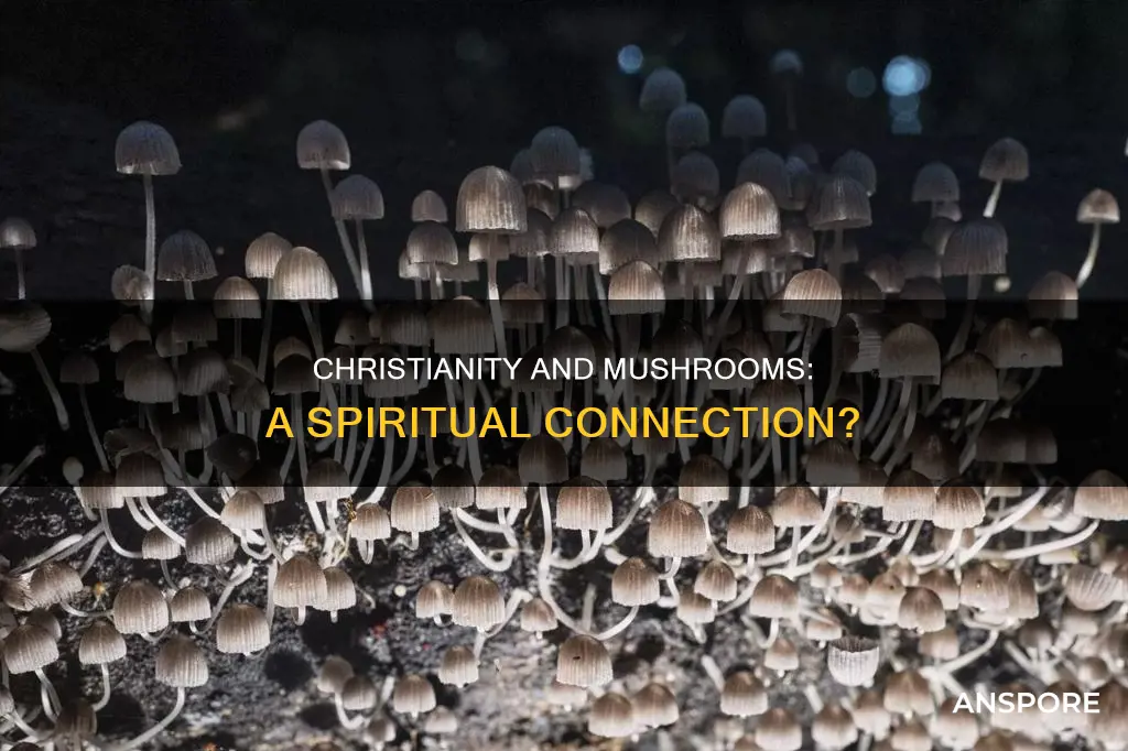 is christianity based on mushrooms