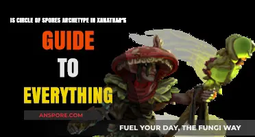 Exploring the Circle of Spores Archetype in Xanathar's Guide