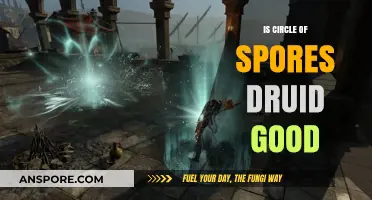 Is Circle of Spores Druid a Powerful Build in D&D 5e?
