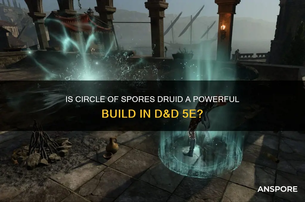 is circle of spores druid good
