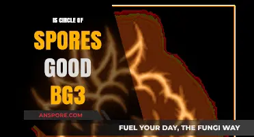 Is Circle of Spores a Viable Choice in Baldur's Gate 3?