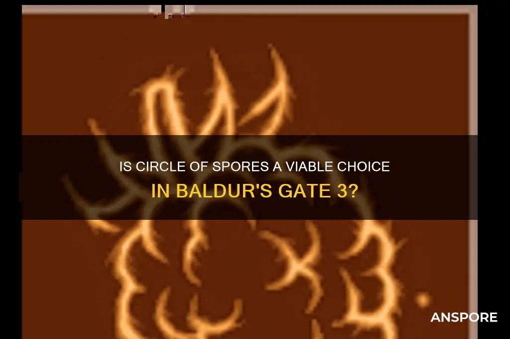 is circle of spores good bg3