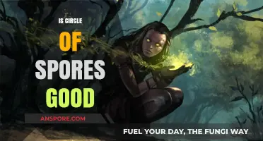 Is Circle of Spores Good? A Comprehensive Druid Build Analysis